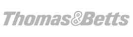 Thomas & Betts brand logo